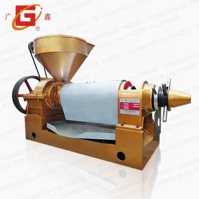 China Factory 140 Oil Press Machine / Oil Press /Screw Cold Press Oil Extraction for sale