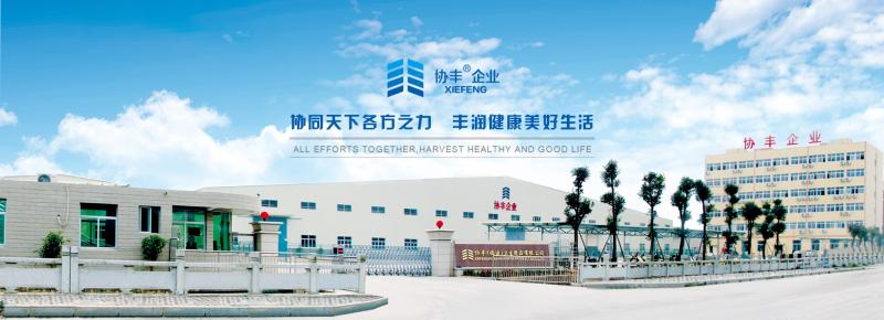 Fornitore cinese verificato - XIEFENG (FUJIAN) HYGIENE PRODUCTS CO.,LTD