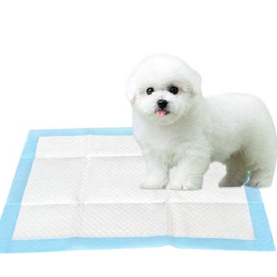 China Waterproof 60*90cm Disposable Puppy Training Pads Dry Surface for sale