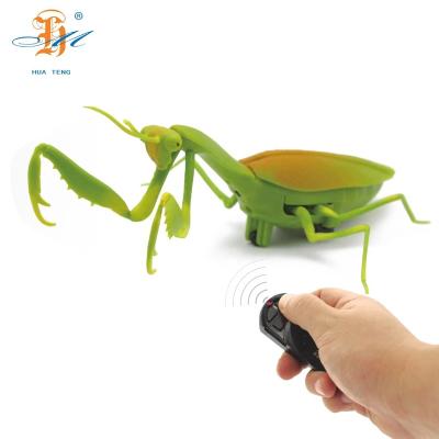 China Hot Selling Plastic Infrared Remote Control Mantis Remote Control Simulation Novelty Toys Animals Funny Remote Control Toys and Pet Toys for sale