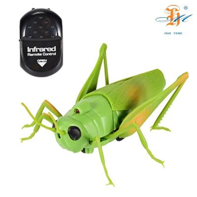 China Hot Selling Plastic MINI Pet Novelty Toys Animals Funny Remote Control Toys Simulation Cricket Infrared Remote Control Kids and Pet Toys for sale