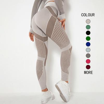 China Breathable Wholesale Breathable Workout Moisture Wicking Butt Lifting Yoga Leggings Pants Seamless Gym Leggings For Running for sale