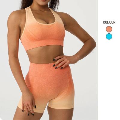 China Breathable Accept Customization Sexy Tight Clothes Gym Clothing Women Yoga Set Fitness Yoga Sets Sports Bra for sale