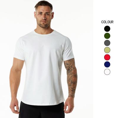 China Pure Men's Summer Wear Breathable Summer European and American Plus-size Color T-shirts Custom Gym Clothes for sale