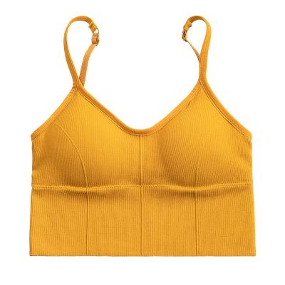 China New type seamless low price yoga sports luxury gym bra sexy bra for sale