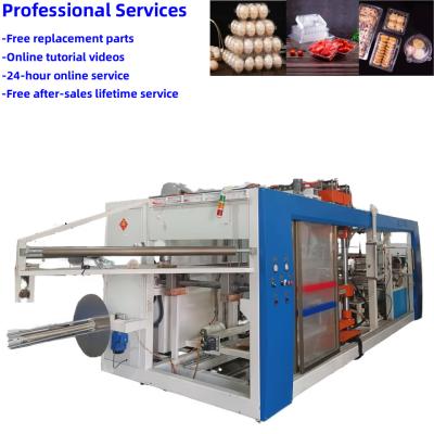 China Automated Plastic Thermoforming Machine for Egg Tray Production with eMule Movement and PVC Plastic Type for sale