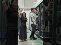 Fully automatic PET Fruit Box Thermoforming Machine