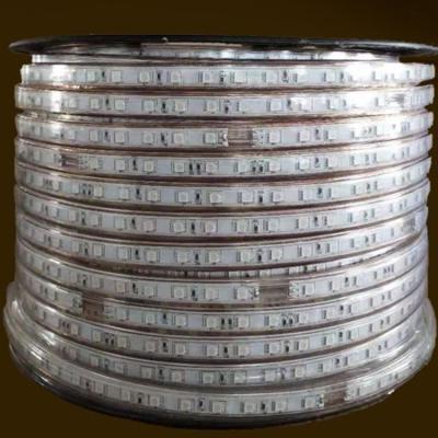 China Hotel AC110V 220V Waterproof IP67 SMD 5050 RGB Color Changing Led Strip Light for sale