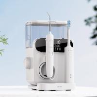 China Irrigador oral 1000ml Lavadora de dientes Pantalla 2IN1 Limpiador eléctrico de agua con cepillo de dientes en venta