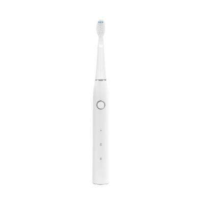 China Multifunctional Dental Electric Toothbrush , Adult Ultrasonic Toothbrush Cleaner for sale