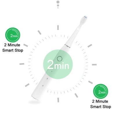 China 3.7V cuidado oral ultraleve Sonic Toothbrush, escova de dentes IPX7 elétrica portátil à venda