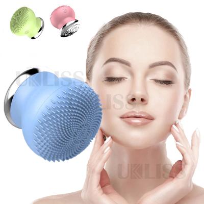 China Mini Weight Loss Instrument Radio Wash Instrument OEM Private Label Face Wash Brush for sale