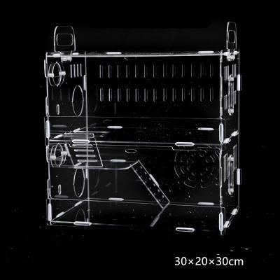 China Breathable Cage Acrylic Reptile Tarantula Feeding Box Small Pet Cages For Sale for sale