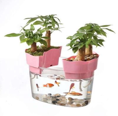 China Small Turtle Viable Plant Potted Creative Waterless Ecological Fish Tank Aquarium Wholesale Desktop for sale