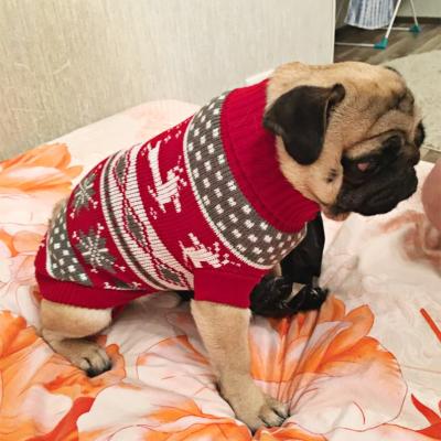 China Viable Warm Dog Clothes for Small Medium Dogs Knitted Cat Sweater Pet Clothing for Chihuahua Bulldogs Puppy Costume Coat Winter for sale