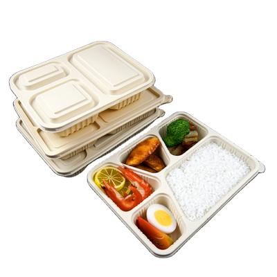 China 100% Biodegradable Recyclable Lunch Boxes Eco Healthy Plastic Meal Prep Containers, PP Disposable Food Containers for sale