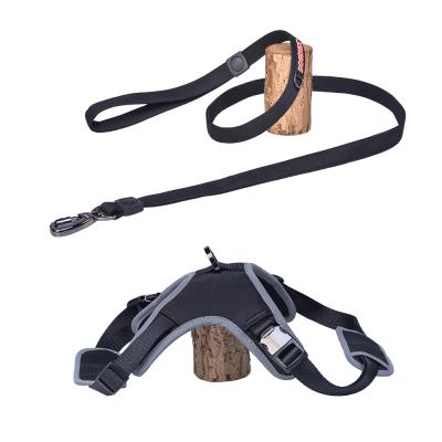 China Wholesale Dogness Series Small Dog Cat Dog Harness Padded Adjustable Leash Adjustable Pet Harness & Lead Set for sale