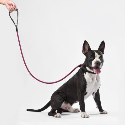 China 2020 Wholesale Lead Padded Nylon Dog Dogness Pet Lead Leash Reflective Soft Leash Large Leash for sale