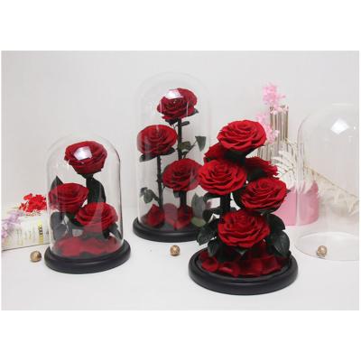 China Prince Roses Valentine's Day Wedding Preserved Roses 14*23 for sale