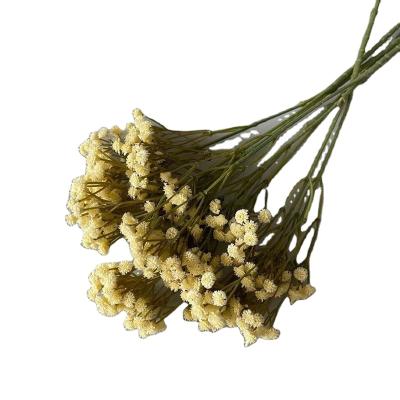 China 2022 Customs Colorful Gypsophila Babysbreath Plastic Decorative Preserved Flower For Christmas Room Decoration Artificial Flowers for sale