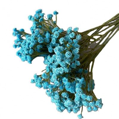 China Artificial Flowers New Artificial Flowers Gypsophila Babies Breath Flowers Wedding Party Decor Home Bouquets Plastic Babysbreath for sale