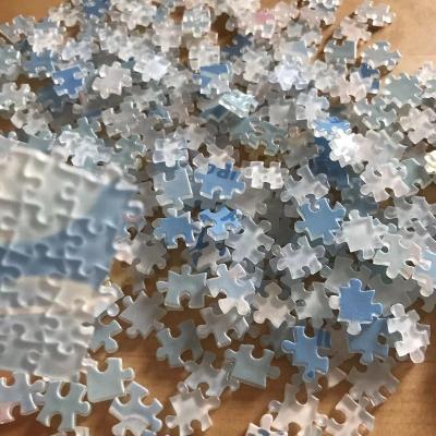 China Educational Toy Custom New Ocean Recycled Mini Size Ocean Material Limit 1000 Pieces Clear Hard Challenging Plastic Puzzle For Adults for sale