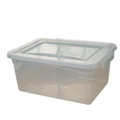 China Large Style Transparent Factory Manufacturing Various Marking Labeled Rice Transparent Rectangular Plastic Box for sale