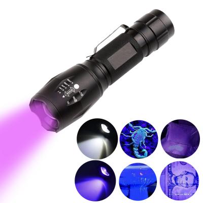 China find urine & Body Fluids 2 IN 1 Ultraviolet Scorpion Detector Blacklight 395nm Zoomable White Lamp Ultraviolet LED Dual Zoom Flashlight UV Light Lamp for sale