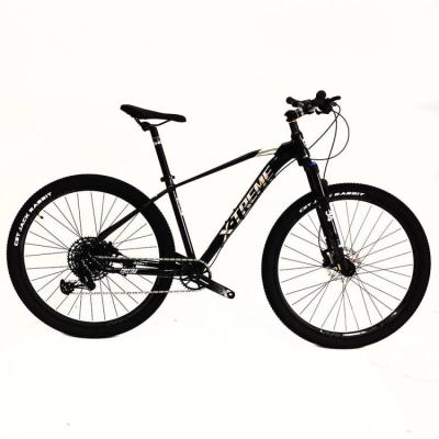 China Aluminum alloy 19inch, 12 speed, new style alloy sight mountain bike fast hard sight bicycle mount prices for sale