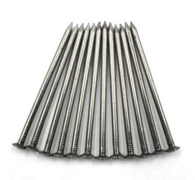 China Building factory direct polishing common nail/iron nail for sale for sale