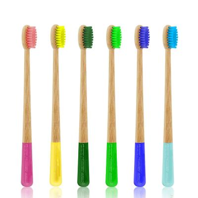 China Household Tingsheng Professional Toothbrush Supplier Daily Cleaning Bamboo Toothbrush With Multi Color Bristles for sale