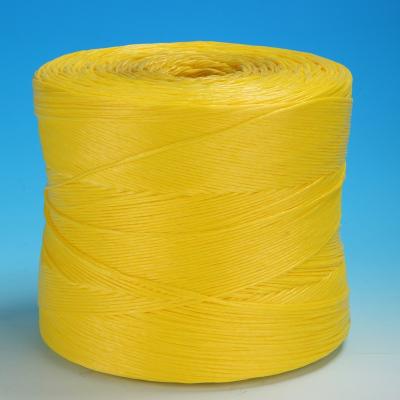 China Plastic Polypropylene Tying Twine for sale