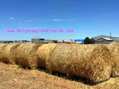 China Custom 2G/M Gardening S Twist Hay Baling Twine PP Split Film Rope LT013 for sale