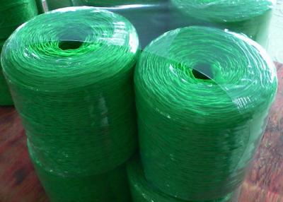 Chine stabilisation UV élevée de 45000D 60000D pp Hay Baler Twine 4kg 5kg à vendre