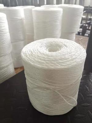 China 1KG -2KG High Strength Reaper Binder Twine Colored Polypropylene Tying Twine for sale