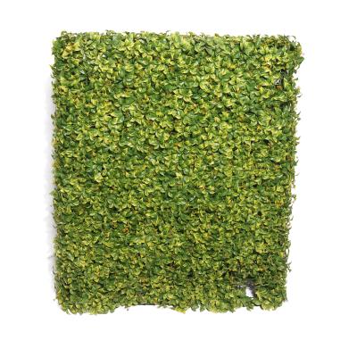 China Natural touch indoor or outdoor decoration garden green plant wall artificial fake vertical boxwood fence for sale