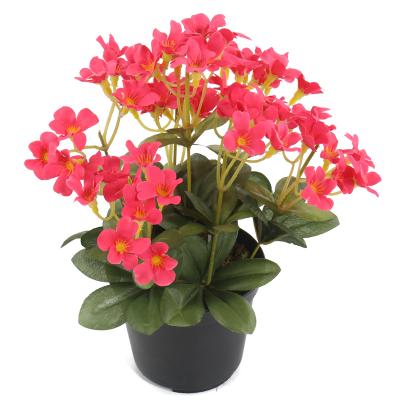 China Hot Sale Art Decor Good Quality Mini Fake Plants Artificial Plastic Plant In Pot For Home Decor Daisy Flower Bonsai for sale