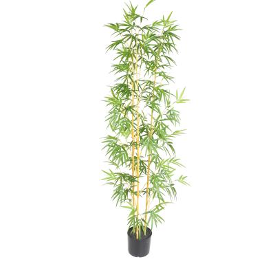 China Art Decor China Supplier Wholesale Plastic Mini Tree Plant Potted Tree For Home Decoration Artificial Bamboo Tree for sale