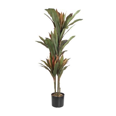 China Art Decor china supplier new design tree plant for garden decor outdoor dracaena sanderiena tree for indoor home artificial tree plant for sale