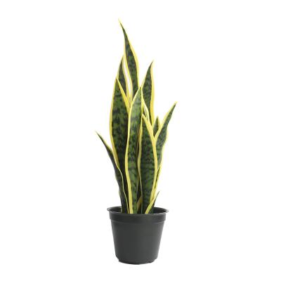 China Mini Plastic Ornamental Sansevieria Agave Tree Artificial Snake Plant Indoor Decoration Art Decor Home Bonsai Potted Plant for sale