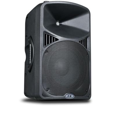 China 2020 Original Amplifier Speaker Subwoofer Factory Outdoor Speakers SR-15ML for sale