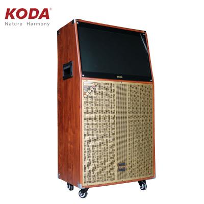 China Performance / Door Activies / Karaoke 15 Inch Audio Video Dance Trolley Outdoor Speaker Speaker for sale