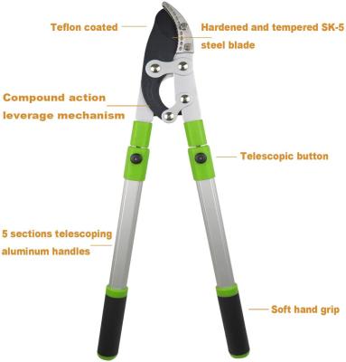 China Telescopic Handle Shaft Anti-Slip Trimmer 26-41in 5 Layers Handle Adjustment Garden Tools Pruner Pruners for sale