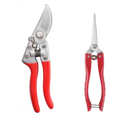 China Anti-slip Handle Fruit Branch Garden Shears Garden Scissors and Fruit Tree Picking Shears Set for sale