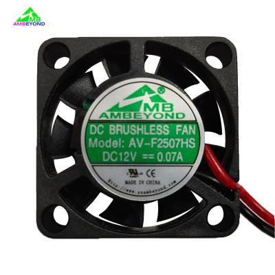 China Spotlight DC 12v 25mm 2507 Dual Ball 5v 24v Axial Flow High Quality Brushless Fan for sale