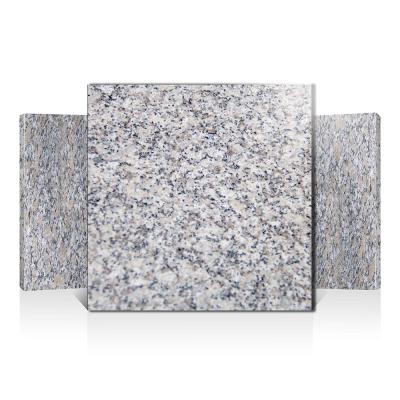 China China Modern Cheap Natural Stones G603 Granite Kitchen Countertops Slabs Granite Tiles for sale