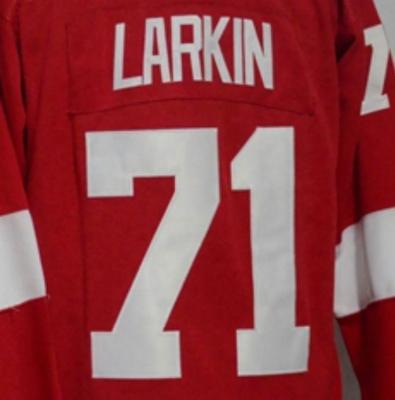 China Shirts & Detroit Dylan Larkin Best Quality Stitched National Hockey Jersey Tops for sale