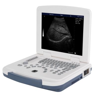 China Black And White Metal RC-BW580 Ultrasound Machine For Vet Surgery Use for sale