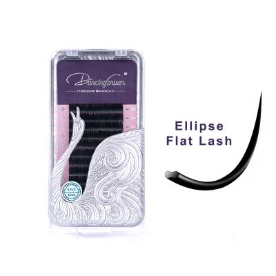 China Natural Custom High Quality Silk Professional Private Label Long Eyelashes Ellipse Kit Flat Eyelash Extensions for sale