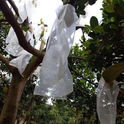 China Orange Pear Anti Hail Net Animal Protection Pests Control Bag Anti Bug Insect Netting Fruit Storage Apple Grape Pesticide Free for sale